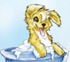 city-with-dogs.de