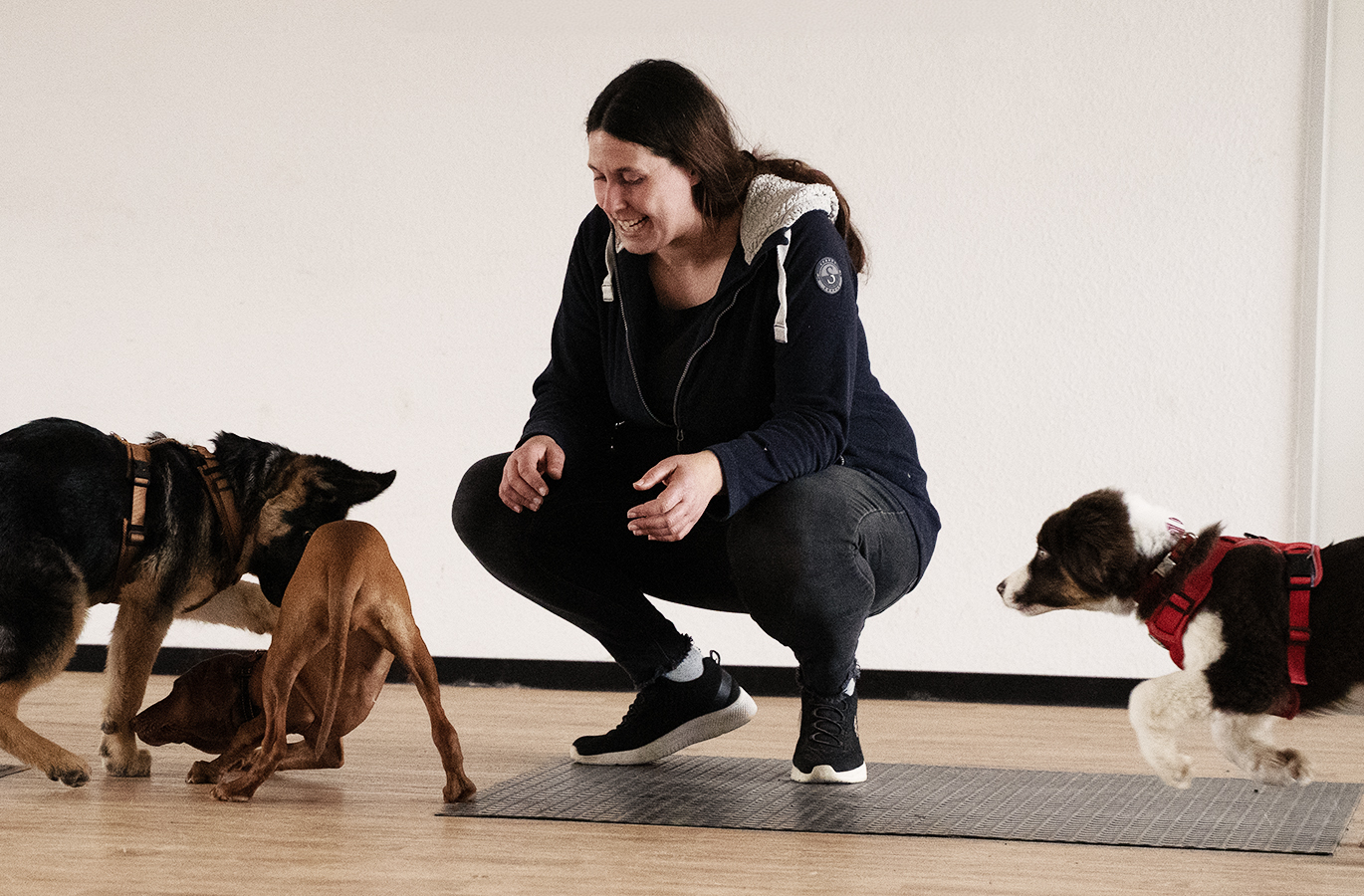 Jeder Hund kann; Hundeschule